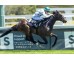  Carrera: G.P.Nacional Caballo: Roncal Monta: V.Janacek